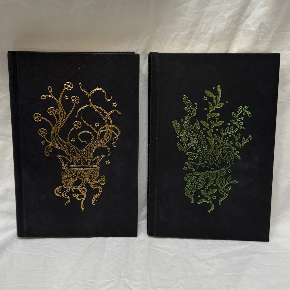 “The Cruel Prince” & “The Wicked King” Hardcover Fantasy Book Set by Holly Black - Picture 3 of 16